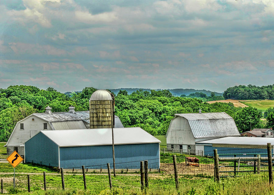 Dairy farm in Virginia Photograph by Cordia Murphy
