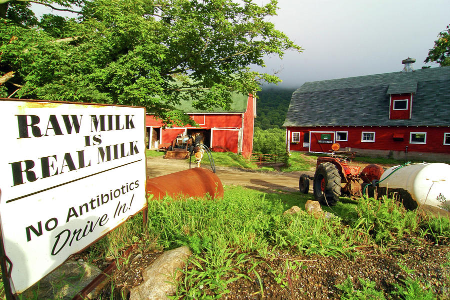 Dairy Farm Digital Art by Stephen G. Donaldson