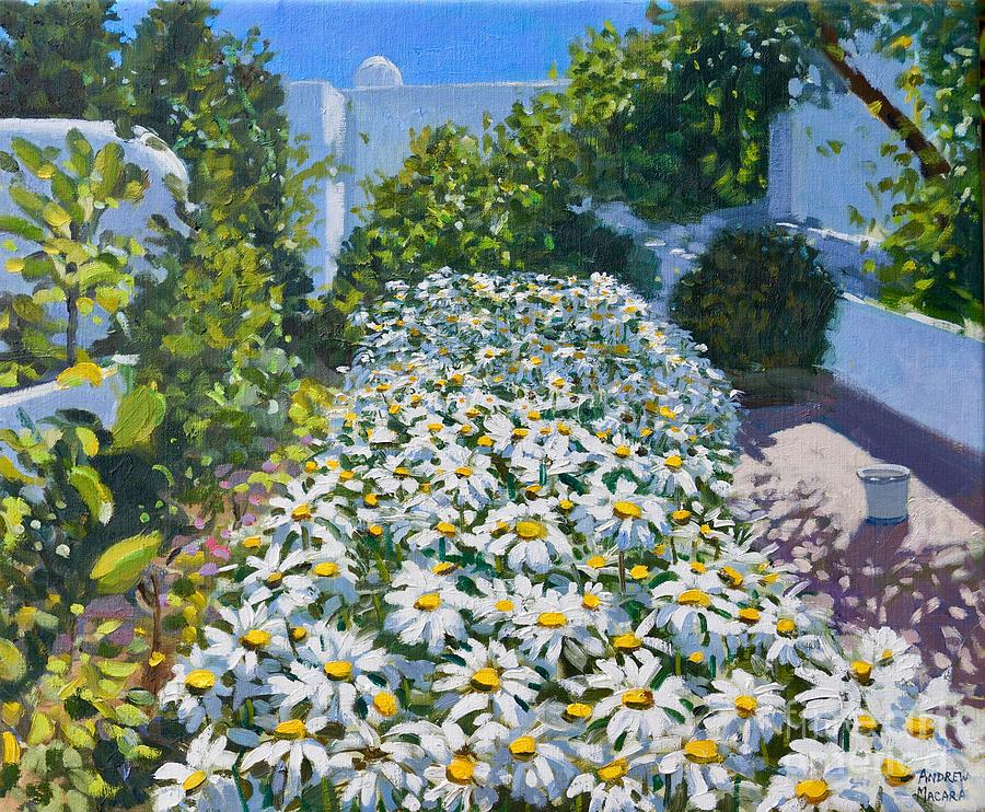 Daisies, 2018 Painting by Andrew Macara