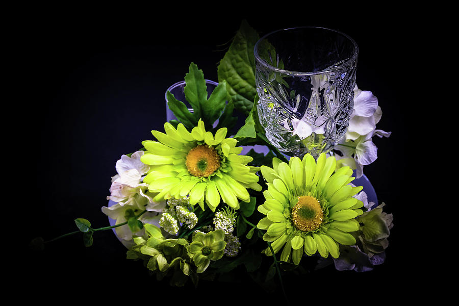 Daisies and Glass Photograph by Laura Smith
