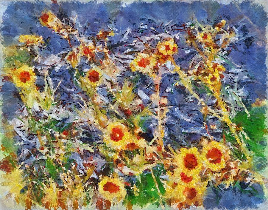 Daisies Mixed Media by Christopher Reed
