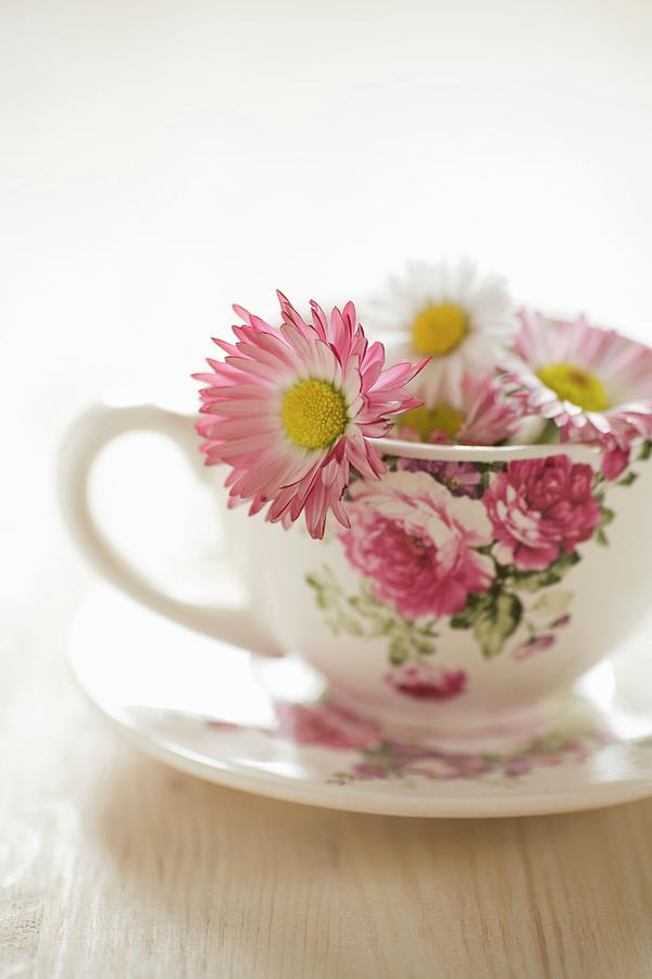Daisies In Floral Teacup Photograph by Alicja Koll