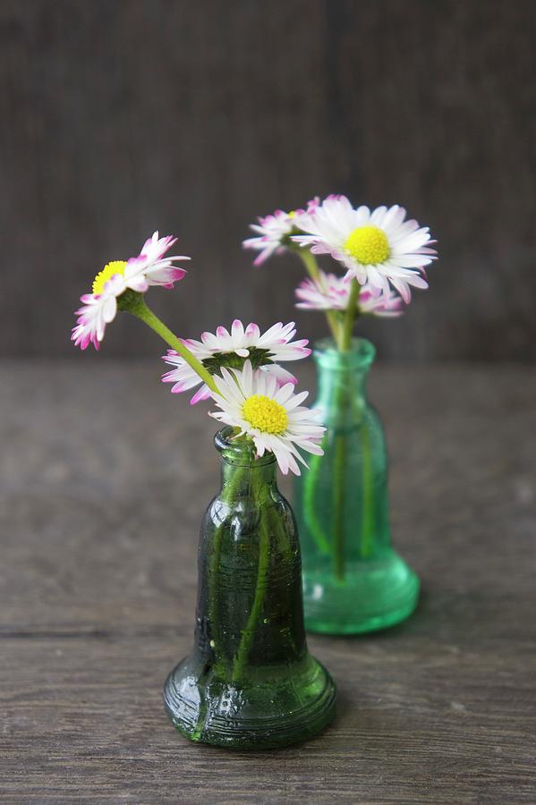 Daisies In Tiny Green Glass Bottles Photograph by Martina Schindler