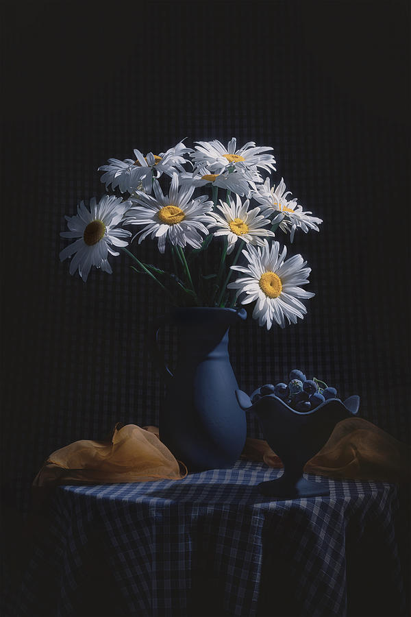 Daisy Photograph - Daisy And Blueberry by Lydia Jacobs