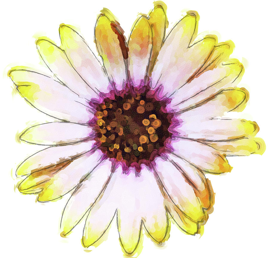 Daisy Decal Deco Photograph by JAMART Photography