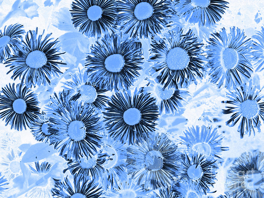 Daisy Flowers Blue by Cveti Dinkova Daisy Flowers Blue by Cveti Dinkova
