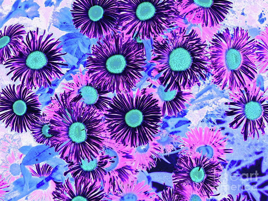 Daisy Flowers by Cveti Dinkova Daisy Flowers by Cveti Dinkova
