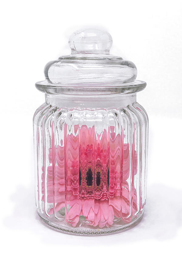 Daisy Photograph - Daisy in a Jar by Sandi Kroll