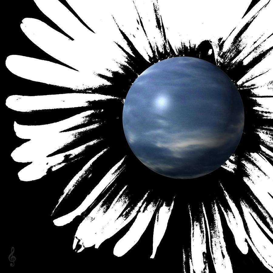 Sky Daisy by Treble Stigen Sky Daisy by Treble Stigen
