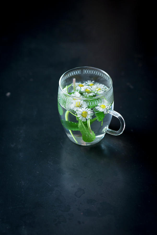 Daisy Tea In A Glass Photograph by Manuela Rther