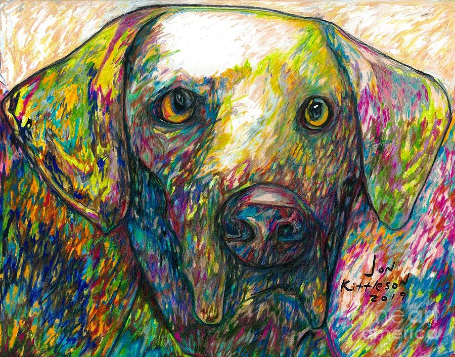 Daisy the dog Drawing by Jon Kittleson