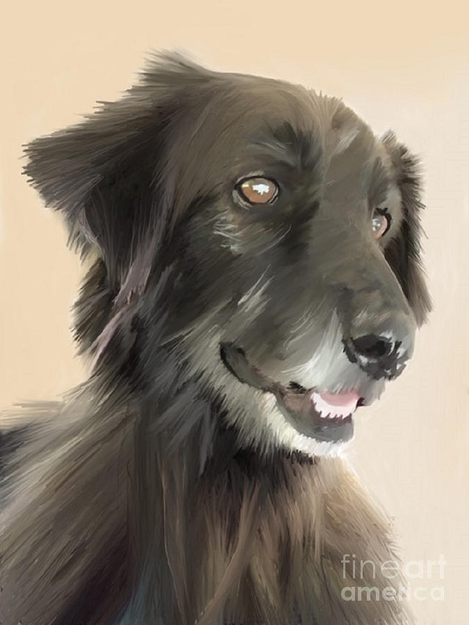 Daisy's trip by ANTHONY FISHBURNE Daisy's trip by ANTHONY FISHBURNE
