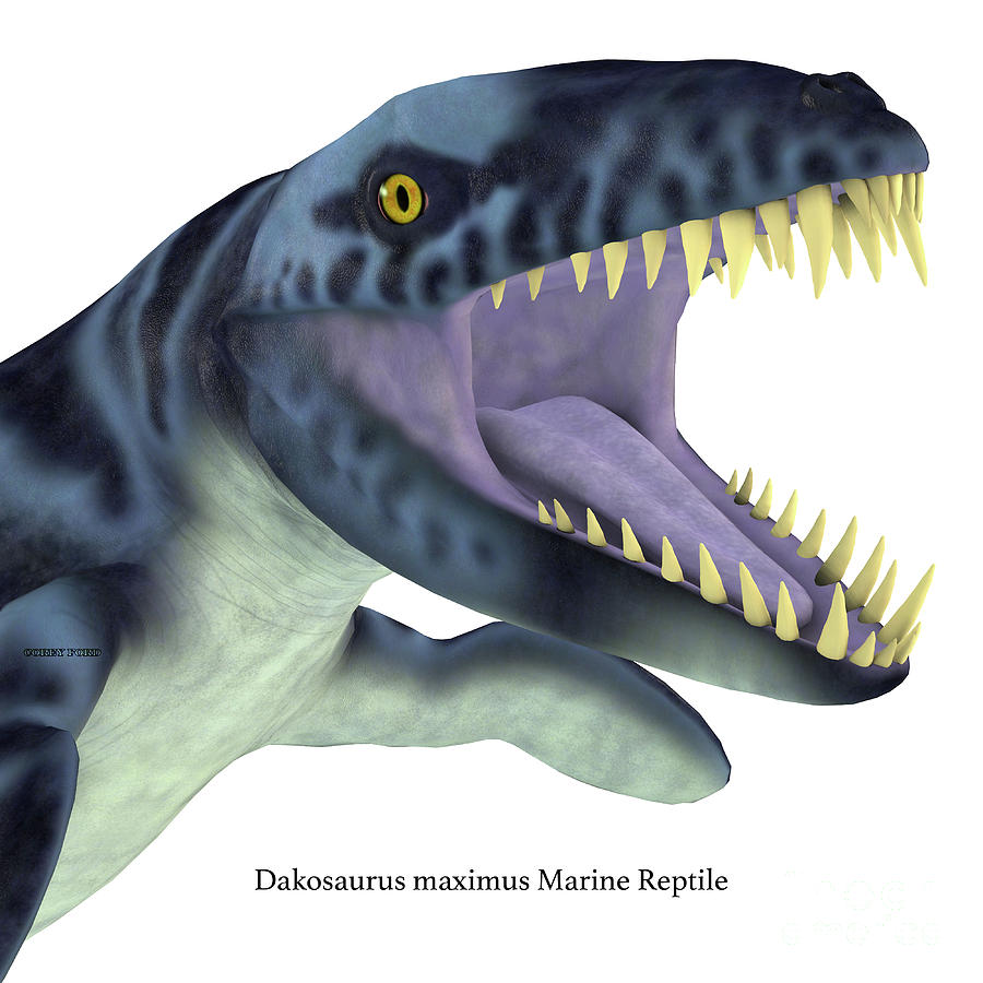 Dakosaurus Marine Reptile Head with Font Digital Art by Corey Ford