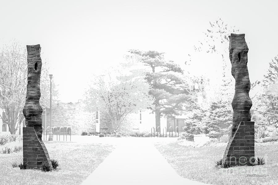 Dakota State University Columns Photograph by University Icons