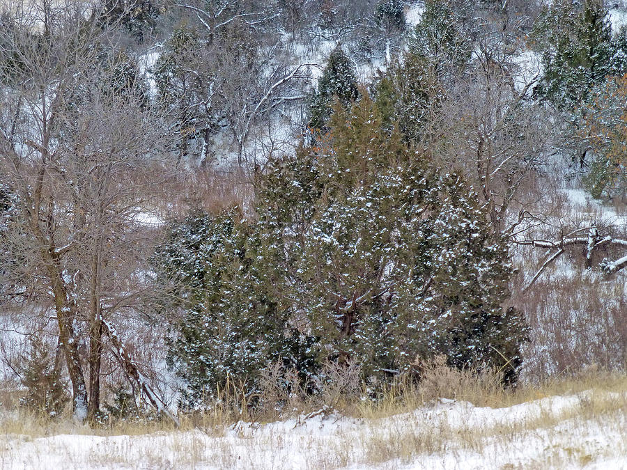 North Dakota Photograph - Dakota West in Winter by Cris Fulton