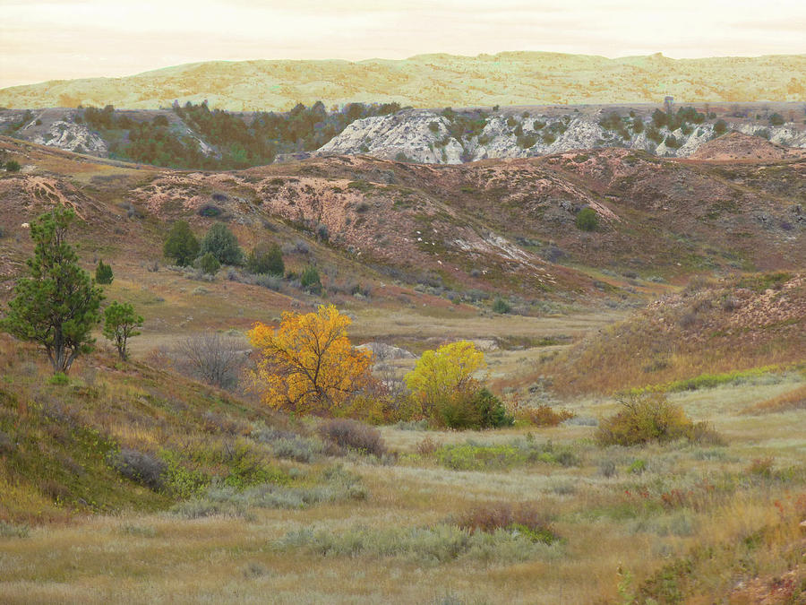 Dakota West September Reverie Photograph by Cris Fulton