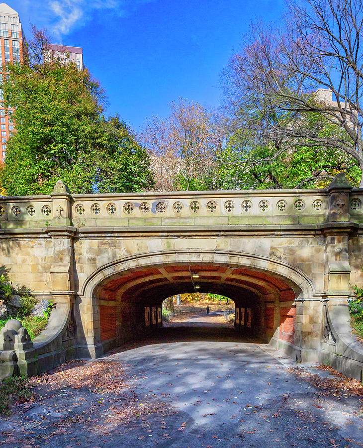 Dalehead Arch, Central Park, Nyc Digital Art by Claudia Uripos