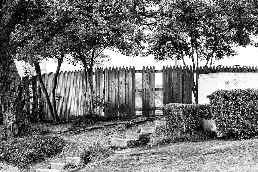 Dallas Grassy Knoll Photograph By John Rizzuto Fine Art America