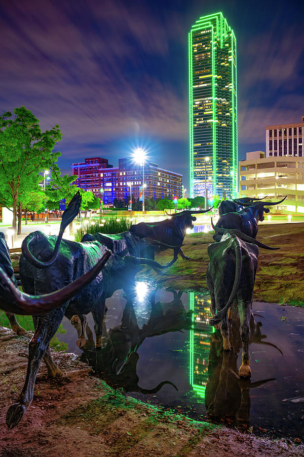 Dallas Skyline and Texas Longhorn Cattle Drive Crossing the River Photograph by Gregory Ballos