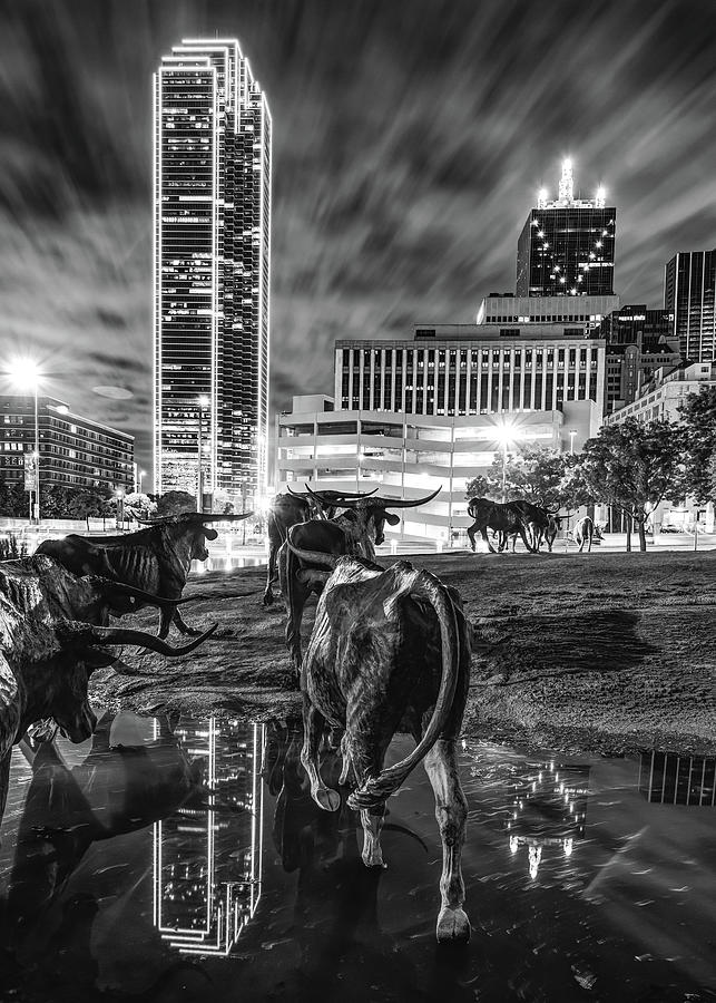 Black And White Photograph - Dallas Texas Longhorn Cattle Drive Sculptures and Skyline in Black and White by Gregory Ballos