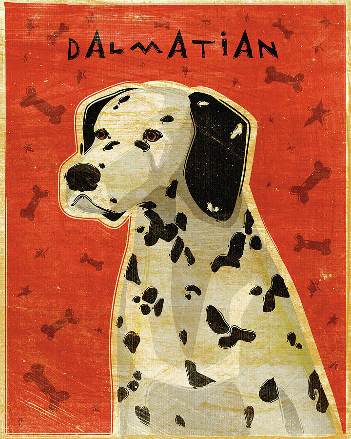 Animal Digital Art - Dalmatian by John W. Golden