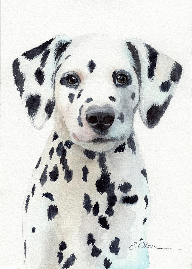 Dalmatian Puppy Painting by Emily Olson - Fine Art America