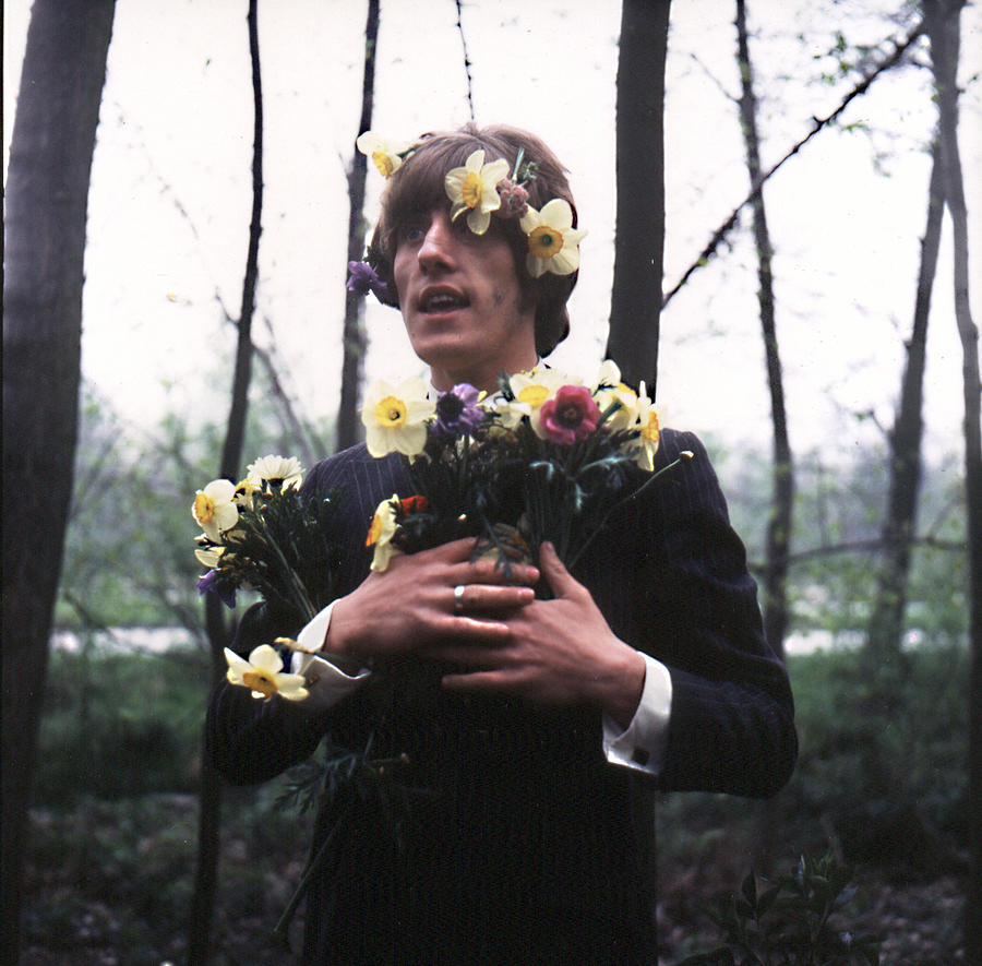 Daltrey With Daffodils Photograph by Chris Morphet