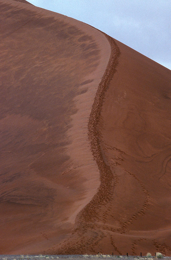 Damage To Sand Dunes Photograph by David Hosking
