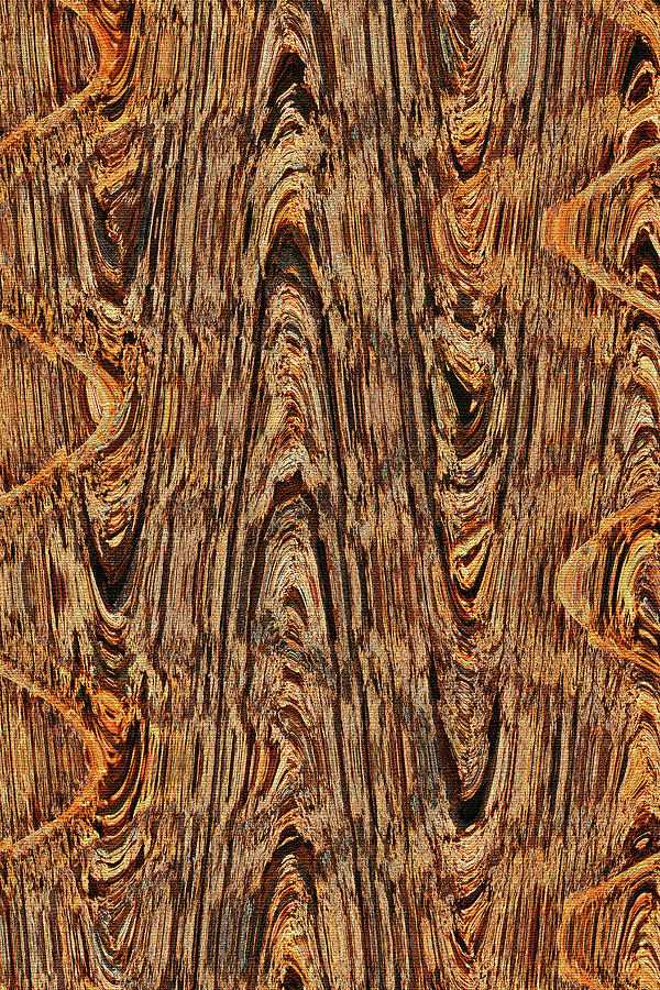 Damaged Saguaro Cactus Abstract #3 Digital Art by Tom Janca