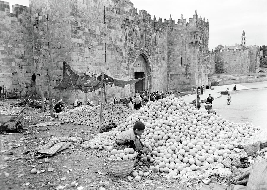 Damascus Gate Orange Piles in 1944 Photograph by Munir Alawi