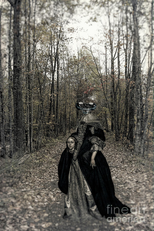 Damsel of the Forest by C L Lassila Damsel of the Forest by C L Lassila
