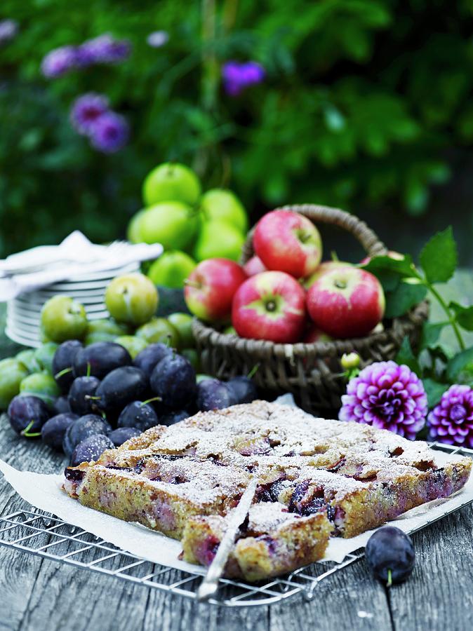 Damson Tray Bake A Cake With Icing Sugar Photograph by Mikkel Adsbl