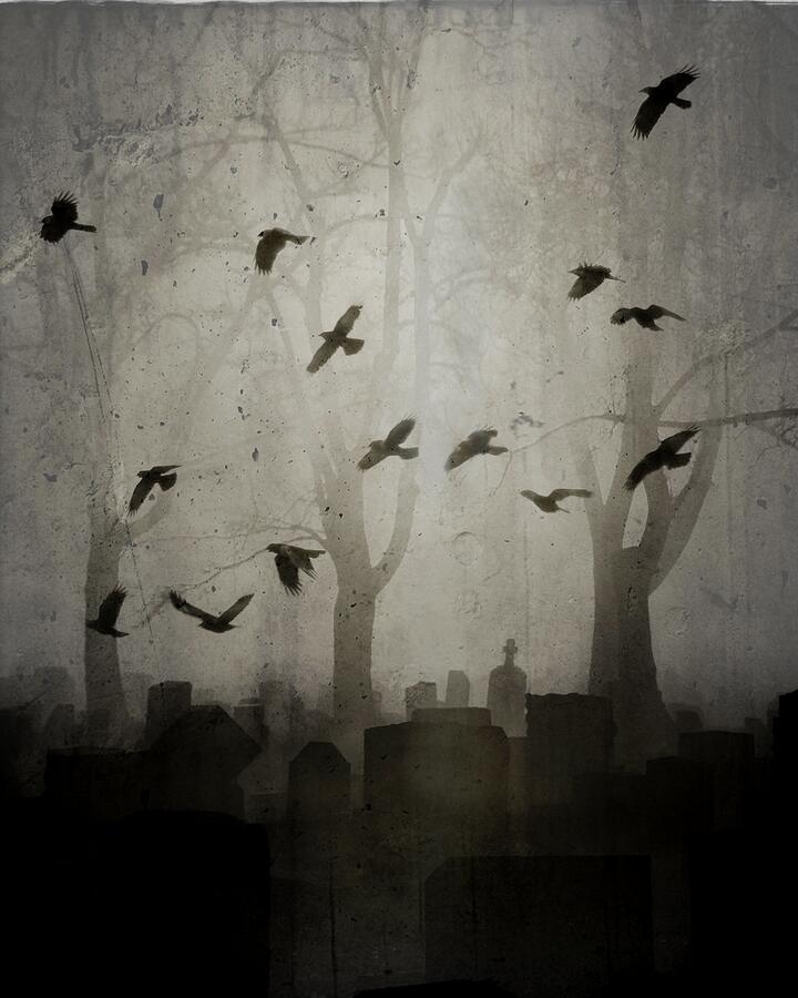 Dance Of The Graveyard Crows Photograph by Gothicrow Images - Fine Art ...