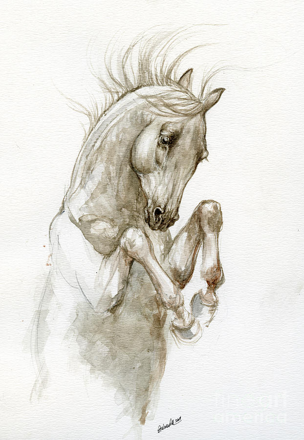 Dancing horse 2019 05 13 by Angel Ciesniarska Dancing horse 2019 05 13 by Angel Ciesniarska