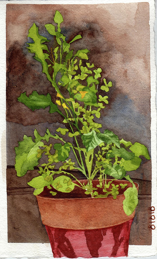 Potted Plant Painting - Dandelion and Sorrel Brought Inside on a Rainy Day by Alice Ann Barnes