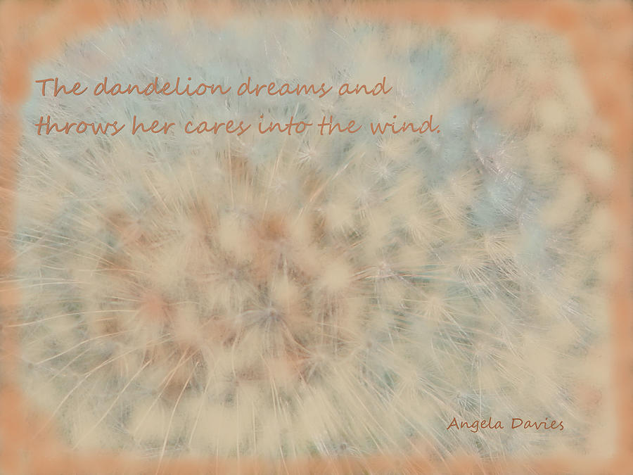 Dandelion Dreams Photograph by Angela Davies