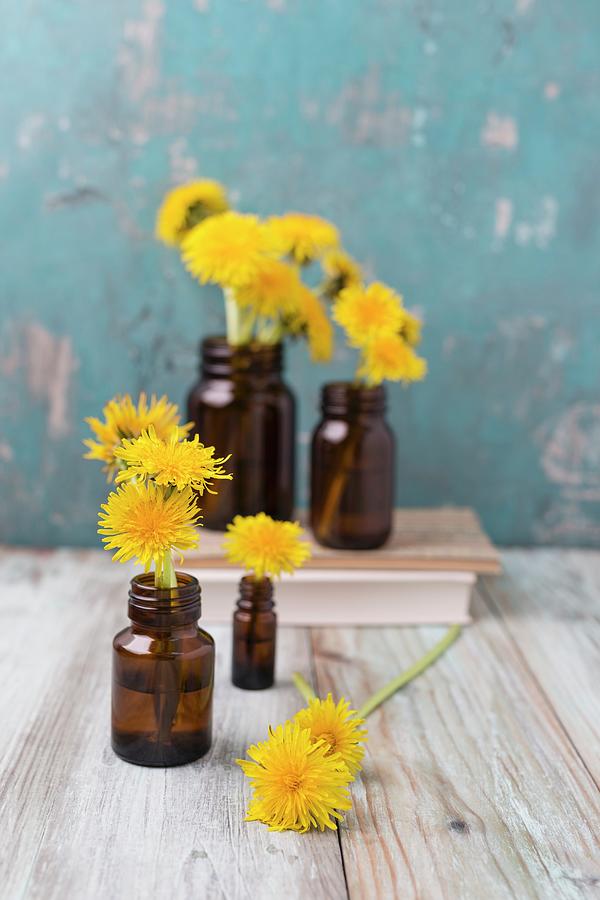 Dandelion Flowers In Small Medicine Bottles Photograph by Mandy Reschke