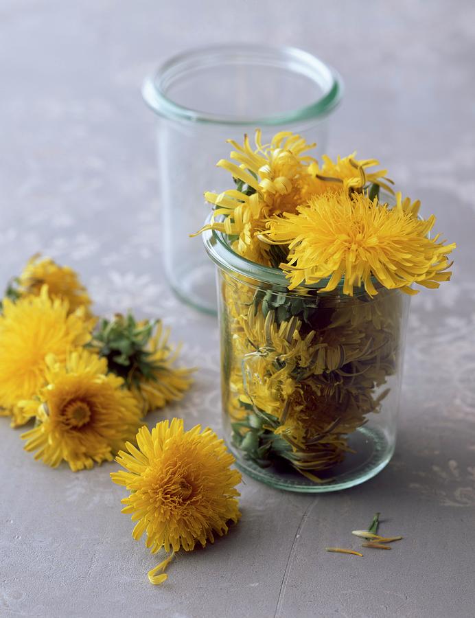 Dandelion Flowers, Some In Jar Photograph by Matthias Hoffmann