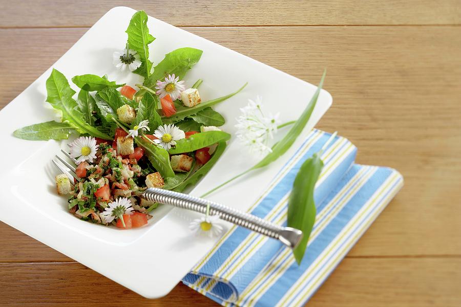 Dandelion Leaf Salad With Wild Garlic And Daisies Photograph by Teubner