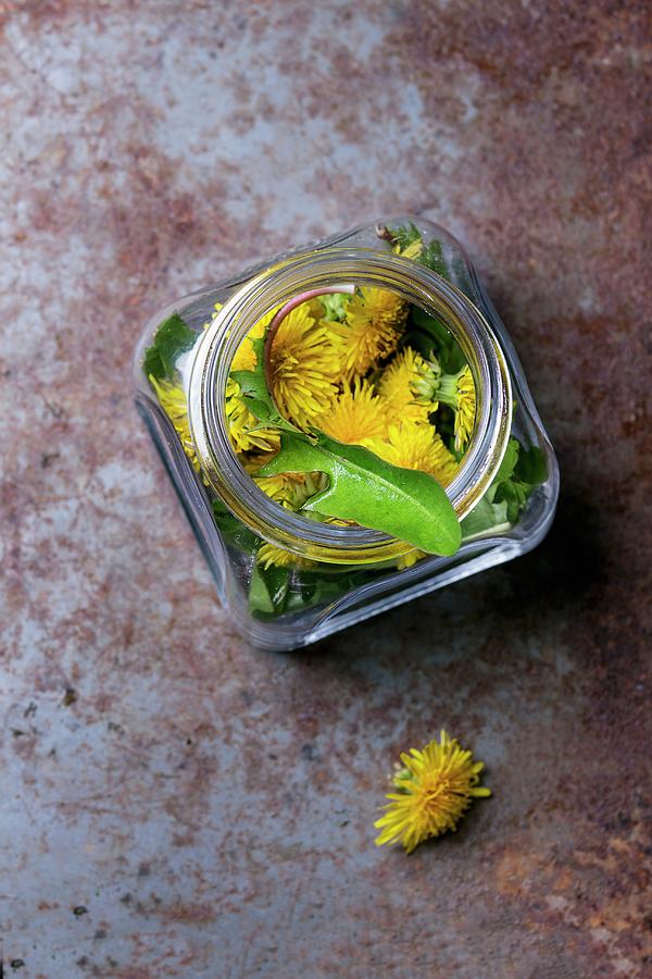 Dandelion Leaves And Flowers In Jar On A Rusty Metal Surface Photograph by Natasha Breen