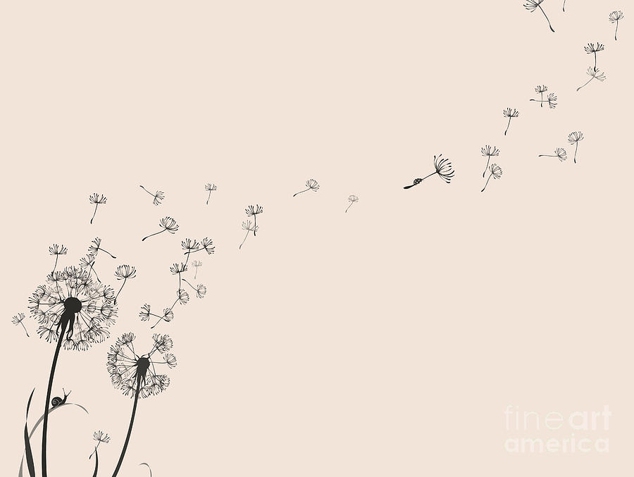 Snail Digital Art - Dandelion Silhouette Snail And Ladybug by Eva mask Snail Digital Art - Dandelion Silhouette Snail And Ladybug by Eva mask