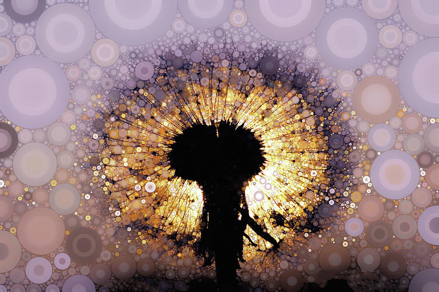 Dandelion Twilight by Susan Maxwell Schmidt Dandelion Twilight by Susan Maxwell Schmidt
