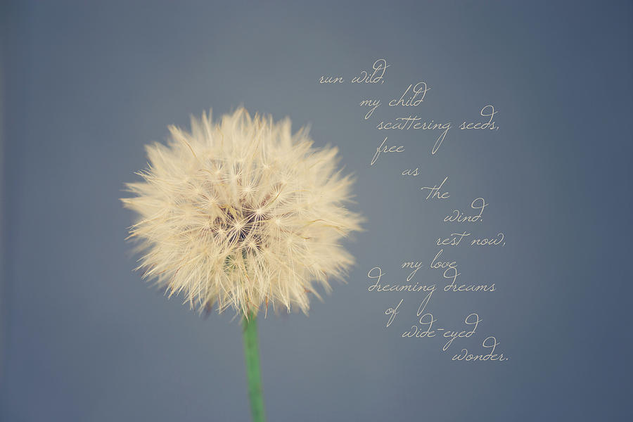 Dandelion Typography Photograph by Jennifer Rigsby - Fine Art America