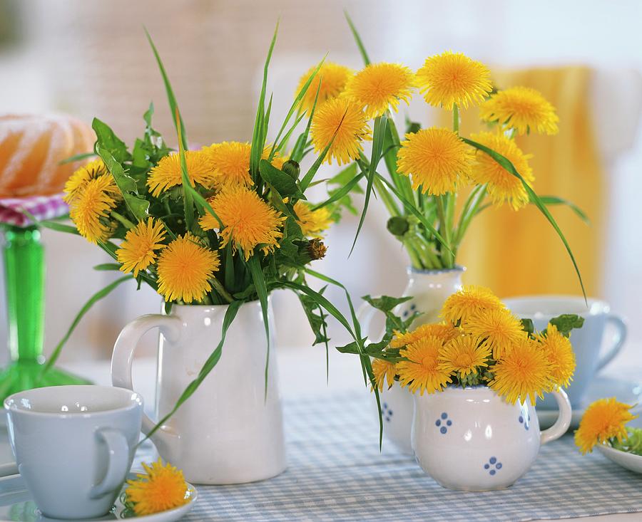 Dandelions And Grass Used As Table Decoration Photograph by Friedrich Strauss