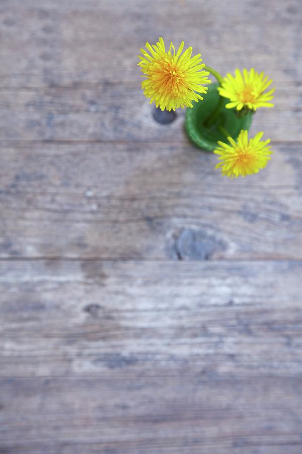 Dandelions In A Small Vase Photograph by Anke Schtz