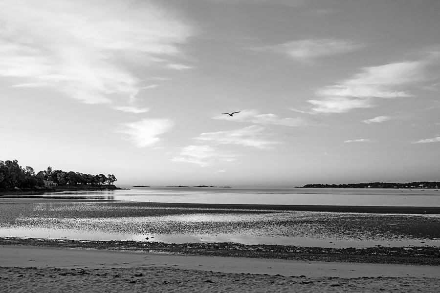 Dane Street Beach in Beverly MA Morning Light Red Clouds Black and White Photograph by Toby McGuire