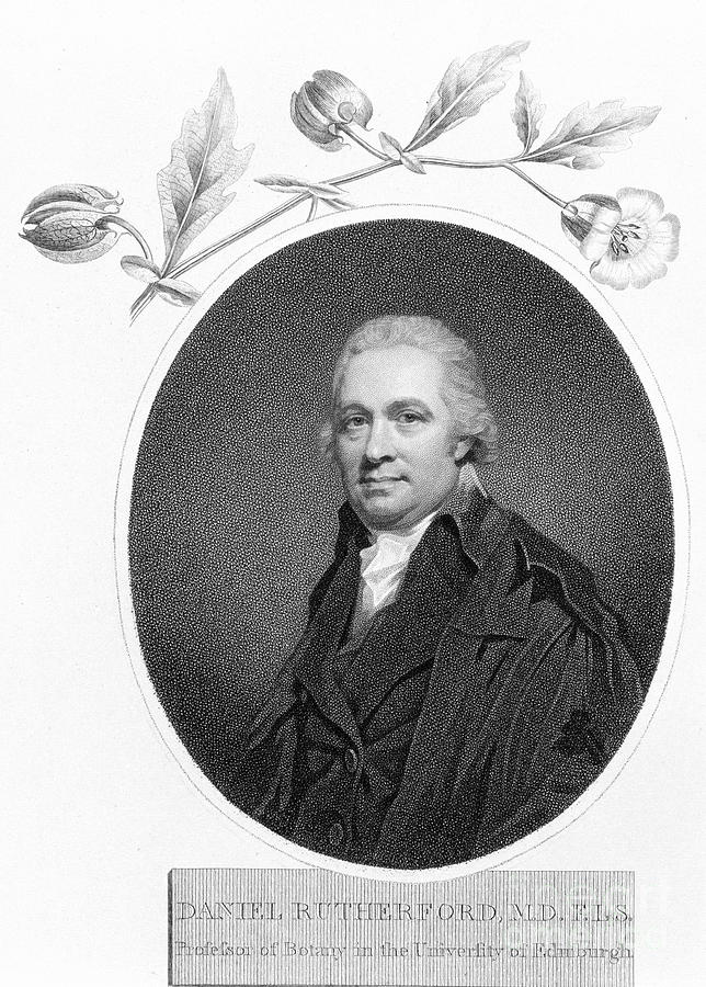 Daniel Rutherford, Late 18th Century Drawing by Print Collector