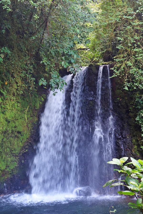 Danta Waterfall Arenal Volcano Photograph