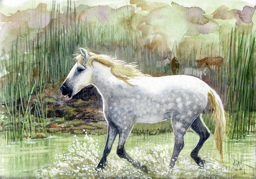 Pebbles Painting - Dapple Grey Wild Horse by Marilyn Smith