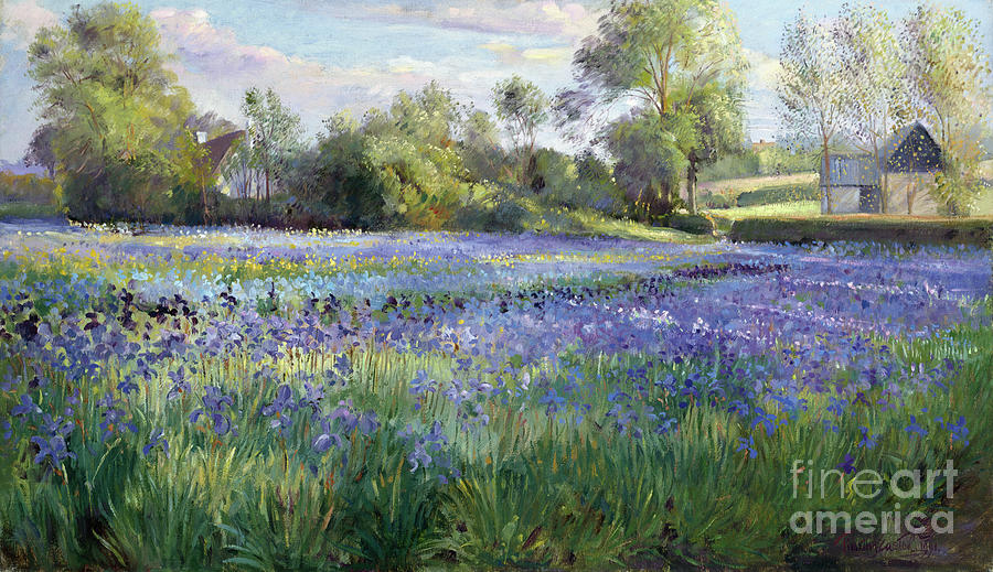 Dappled Light On The Iris Field Painting by Timothy Easton